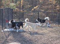 East Clayton Dog Park
