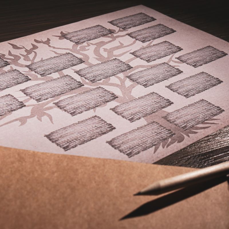 Family tree drawing on table with paper and pencil