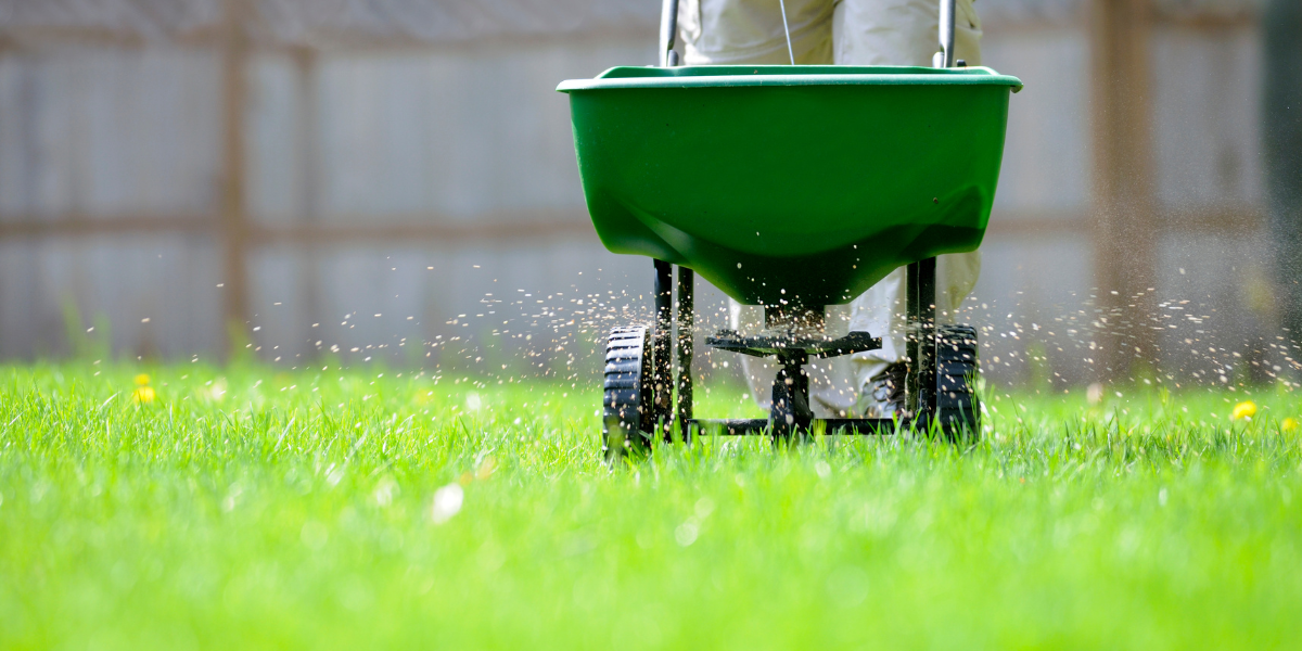 Person pushing fertilizer machine on grass