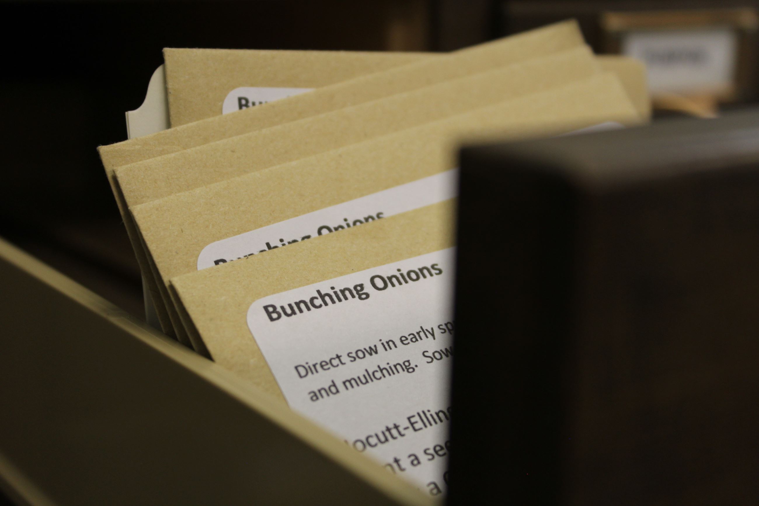 Seed packets in drawer for seed library.
