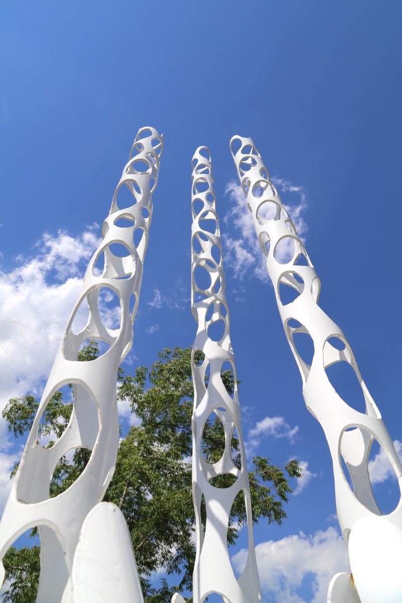 Looking up at Bare Bones